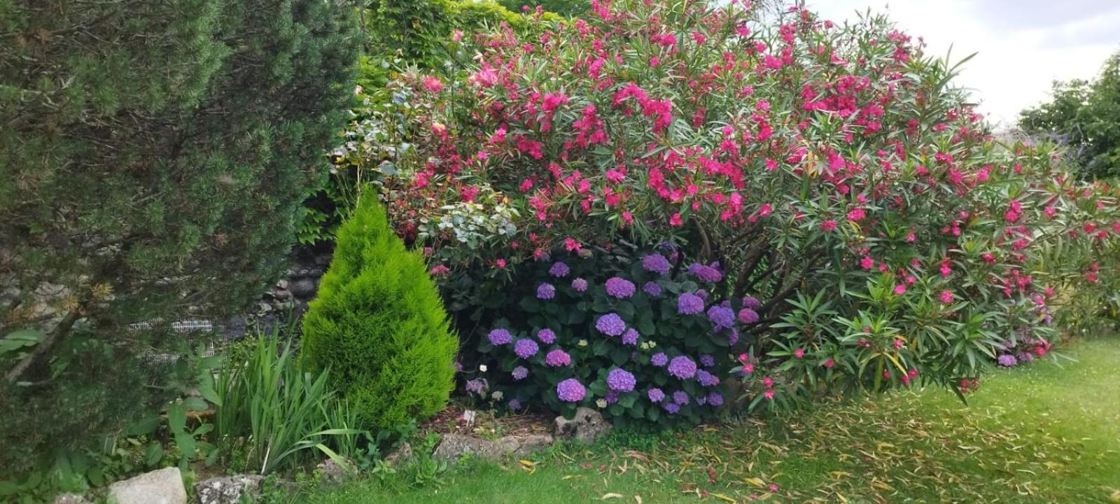Gite 3 "Le Canal De Baza" Aux Magnolias 오브나 외부 사진