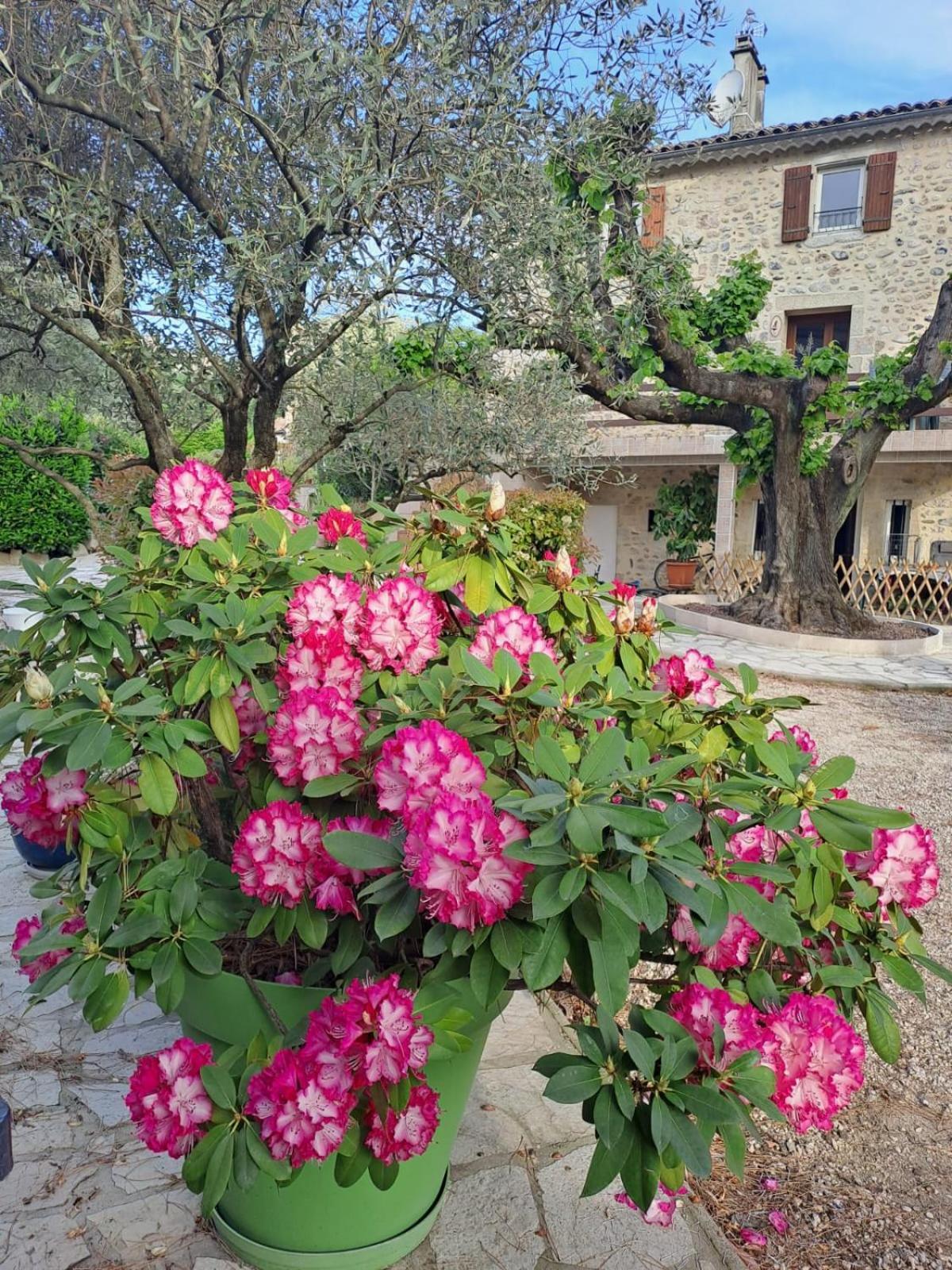 Gite 3 "Le Canal De Baza" Aux Magnolias 오브나 외부 사진