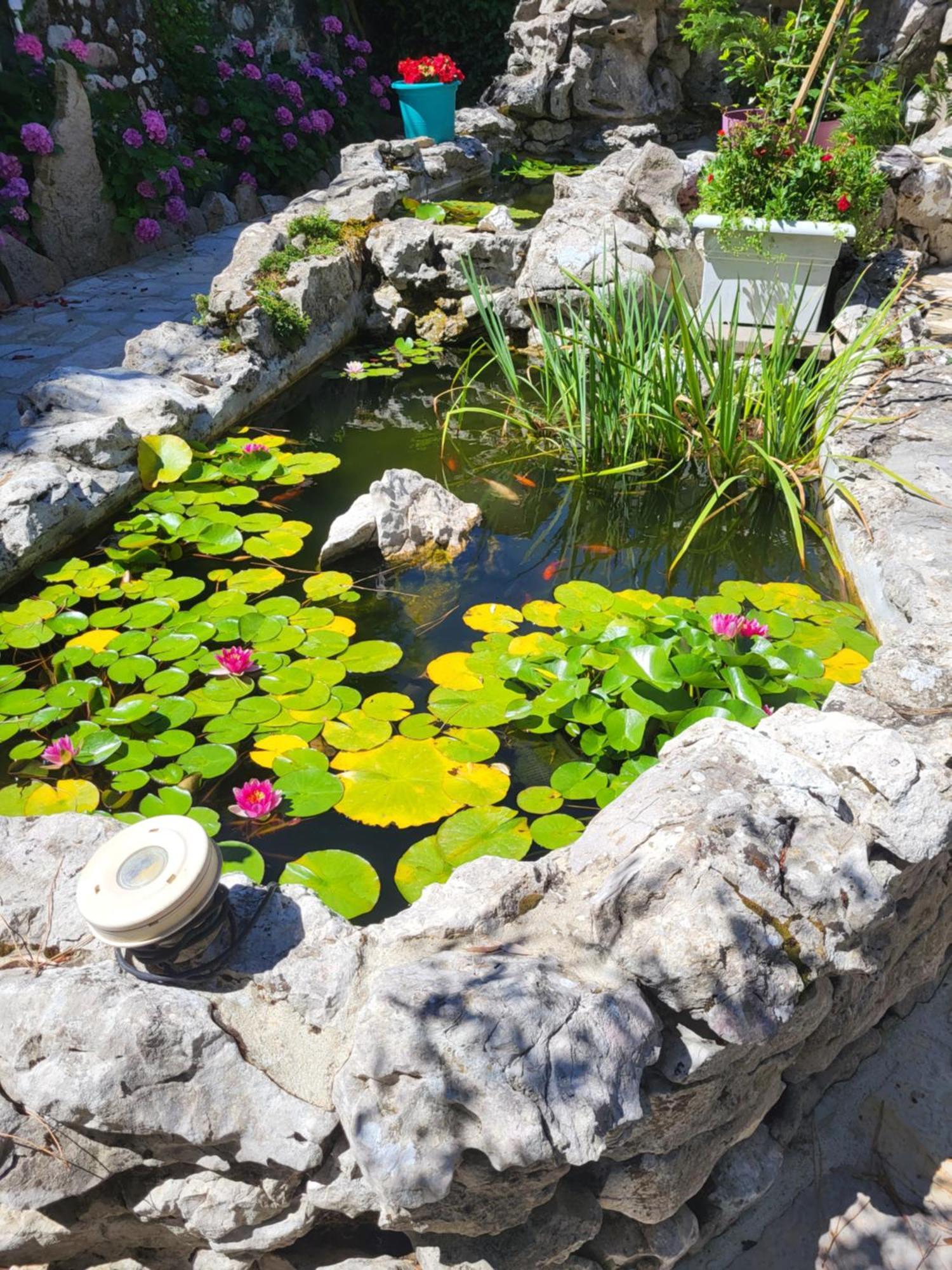 Gite 3 "Le Canal De Baza" Aux Magnolias 오브나 외부 사진