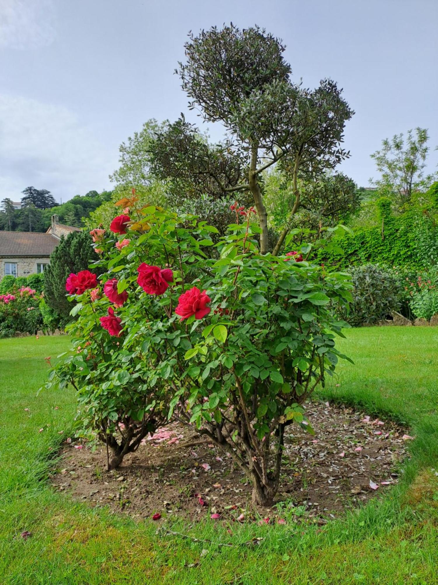 Gite 3 "Le Canal De Baza" Aux Magnolias 오브나 외부 사진
